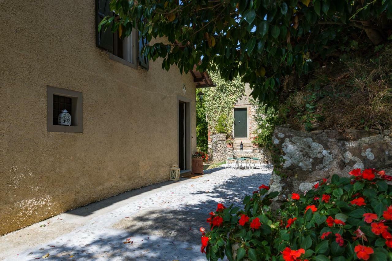 Villa Brancoli Capannori Exterior photo